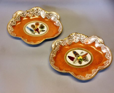 A FINE PAIR OF CHAMBERLAIN'S WORCESTER DESSERT DISHES, CIRCA 1810 - Click to enlarge and for full details.