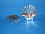 Pair of Old Sheffield butter shells. - Click to enlarge and for full details.